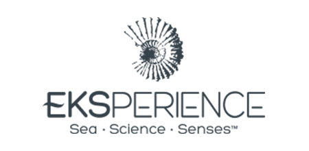 Logos_0003_eksperience